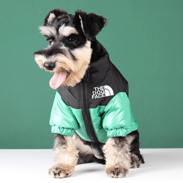 Winter Pet Dog Down Jacket Clothes Embroidered Coat of Medium and Small Dog Tide Clothing Winter Pet Dog Down Jacket Clothes Embroidered Coat of Medium and Small Dog Tide Clothing