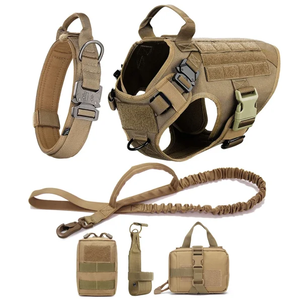 Harness and leash set for large walking dogs Harness and leash set for large walking dogs